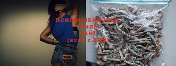 шишки Алексеевка