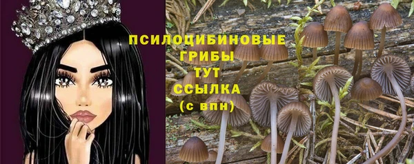 шишки Алексеевка