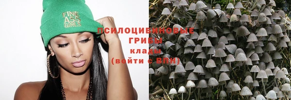 прущие крисы Алексин